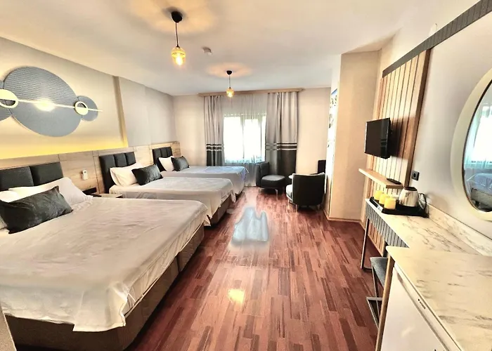 Hotel Taksim Palece Istambul